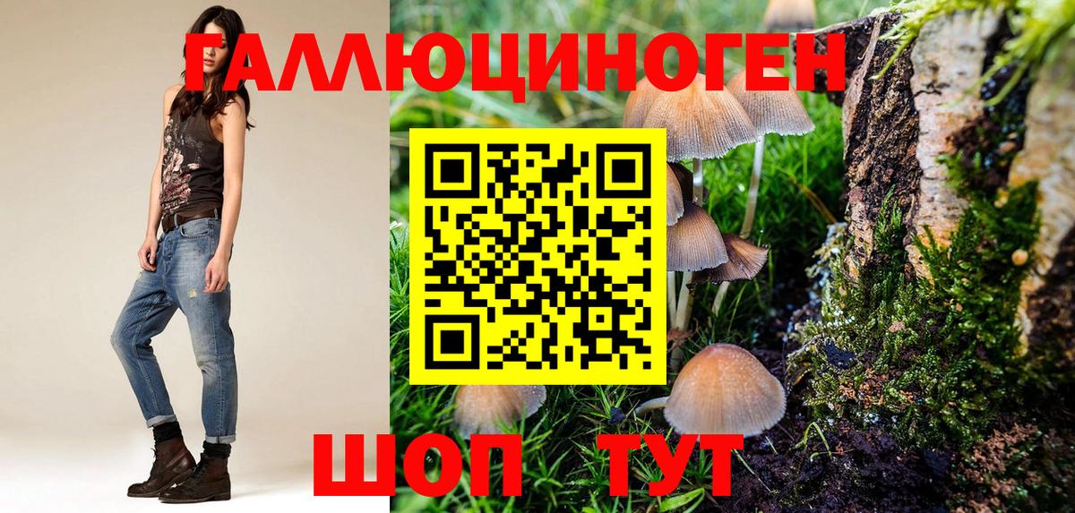 Галлюциногенные грибы MAGIC MUSHROOMS Урус-Мартан