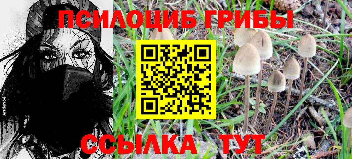  Cocaine Урус-Мартан